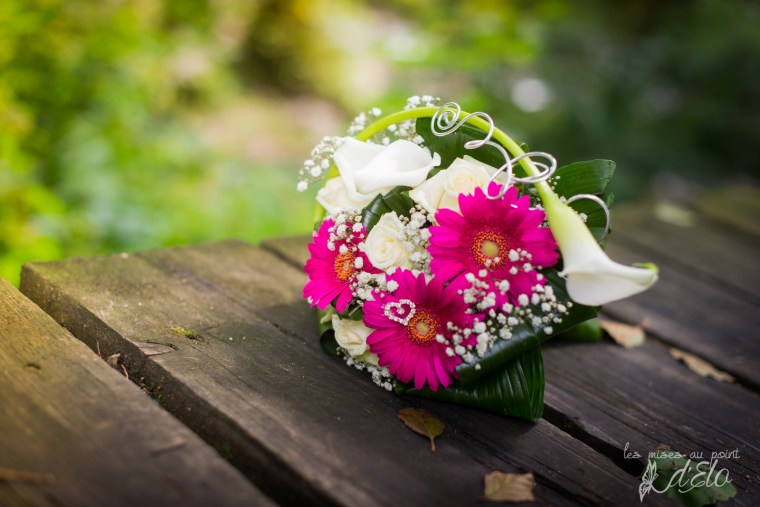 photographe Monistrol sur loire haute loire les mises au point d 'elo 