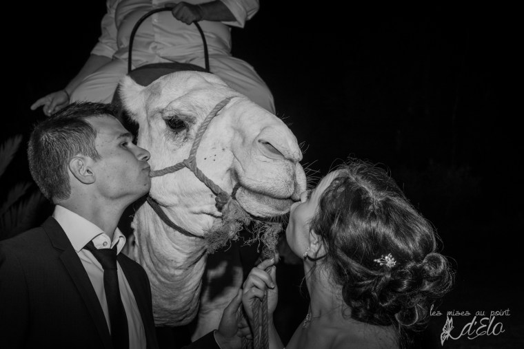 soiree mariage nawel et florian pour le web -52