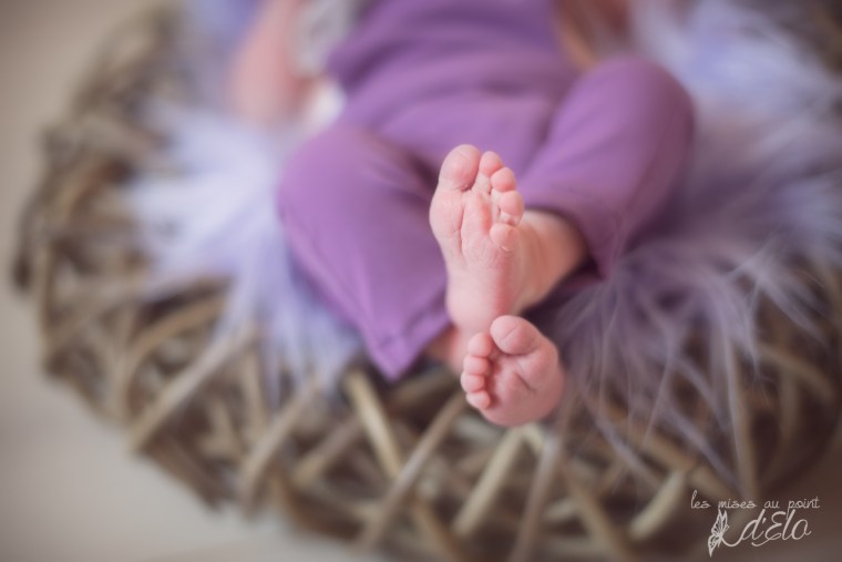 séance photos nouveau né domicile - Loire / Haute Loire 